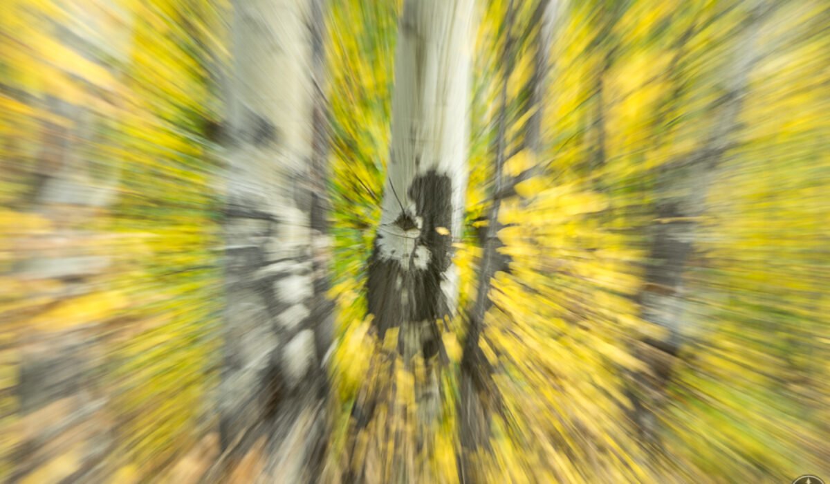 Fall in Rocky Mountain National Park