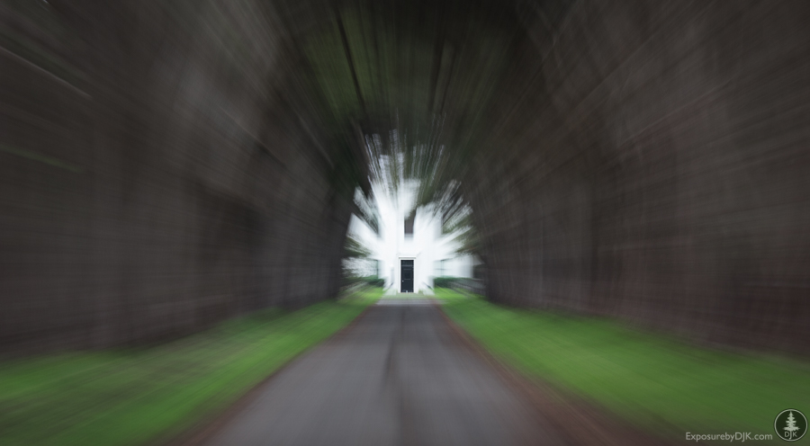 Behind the shot: Cypress tree tunnel