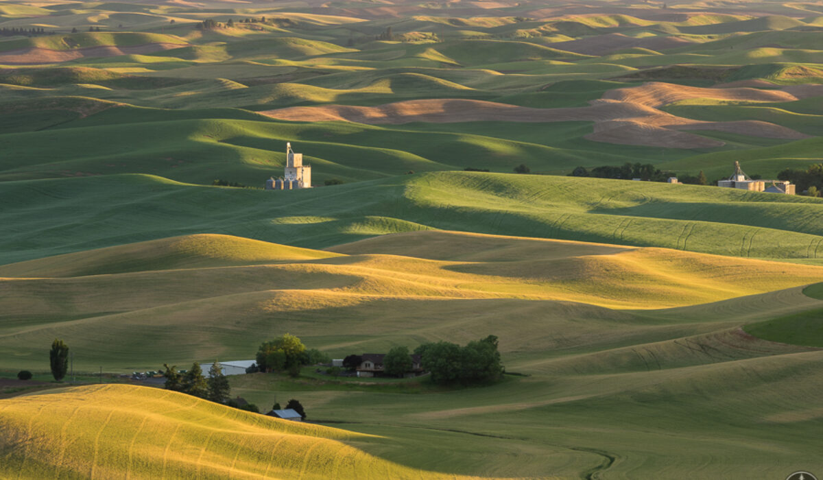 Behind the shot: The Palouse