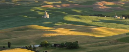 Behind the shot: The Palouse