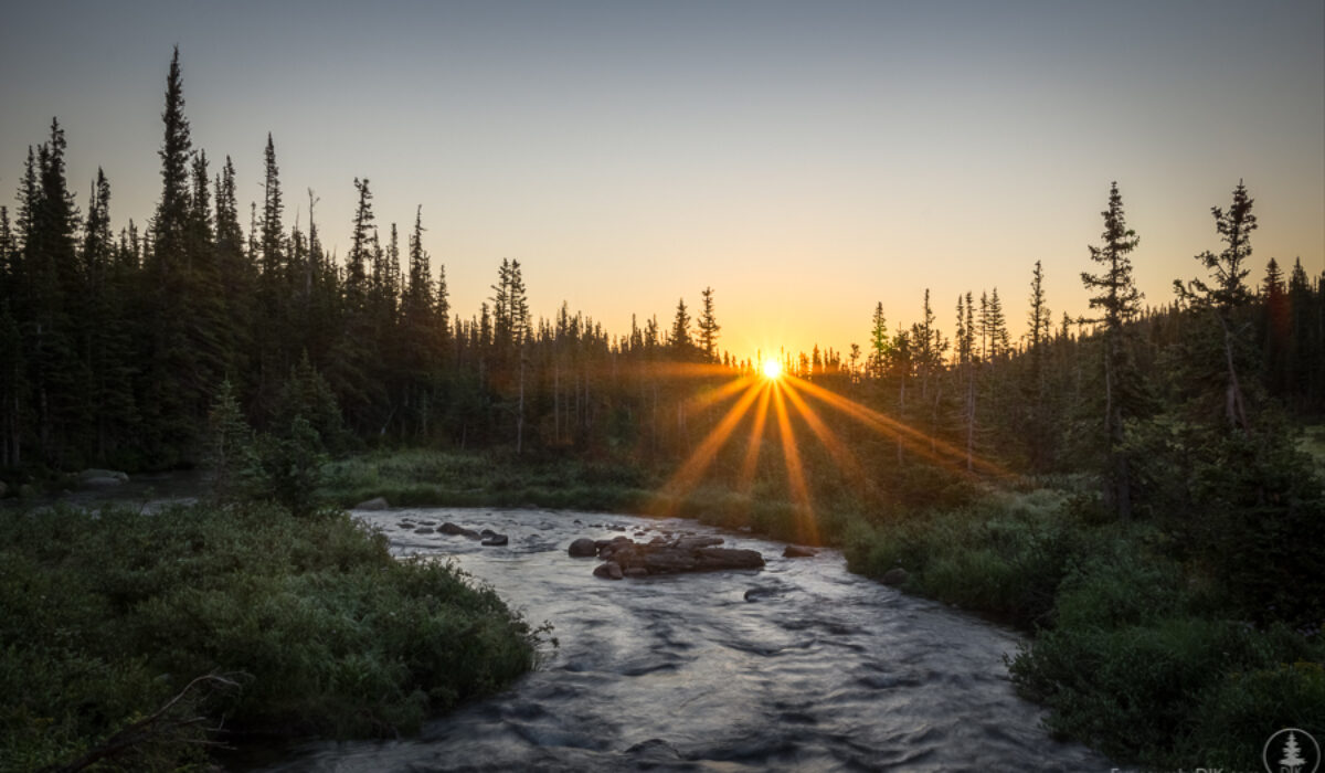 Photographing into the sun? Do this to remove lens flare