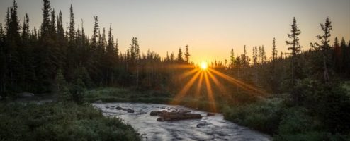 Photographing into the sun? Do this to remove lens flare