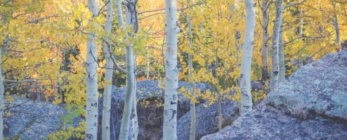 Fall in Rocky Mountain National Park – 2020