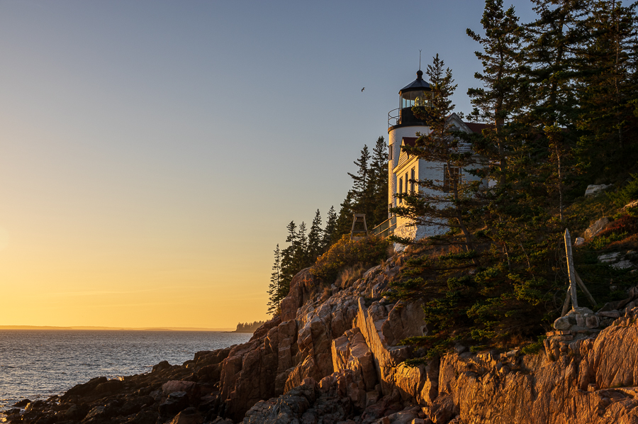 Fall in Acadia National Park – 2020