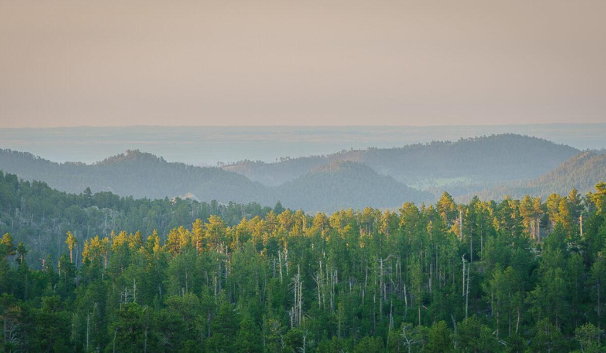 Black Hills