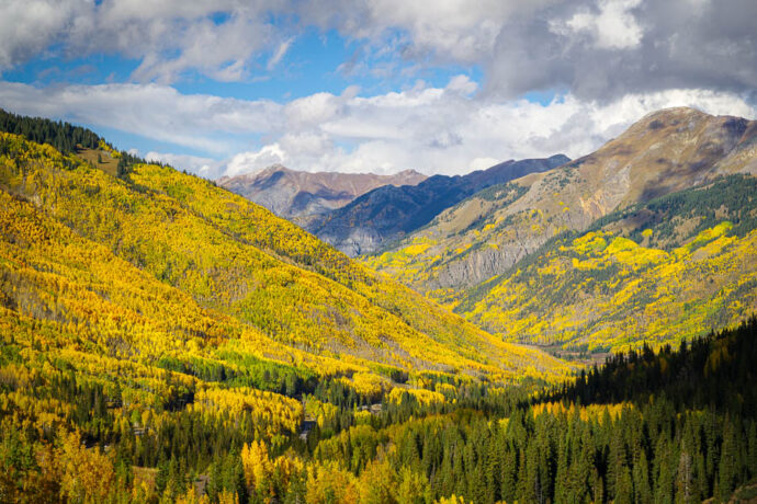 Aspens and mountains.