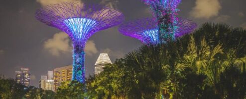 Super Tree Grove, Singapore