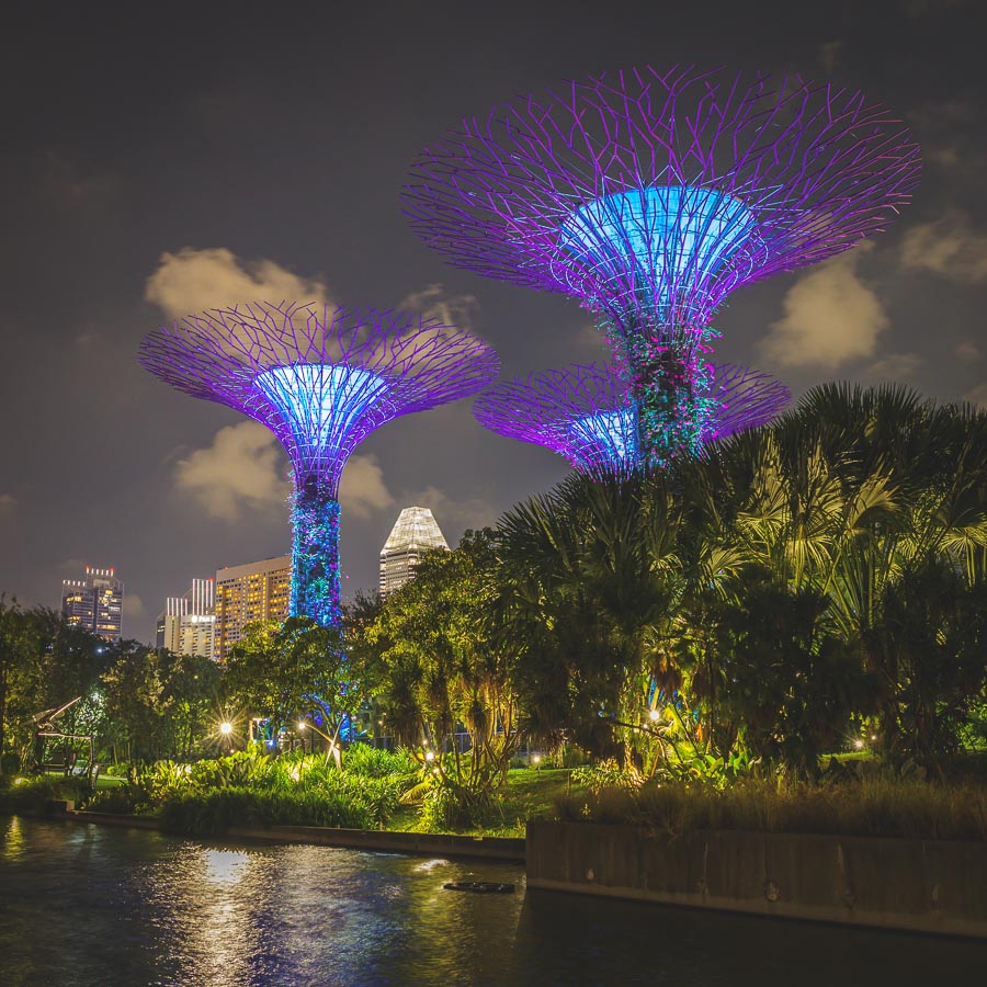 Super Tree Grove, Singapore