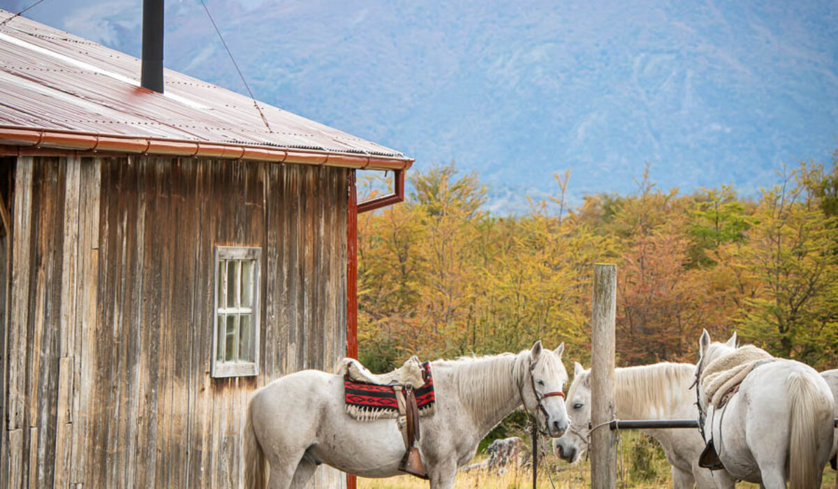 Patagonia Part 3: Estancia