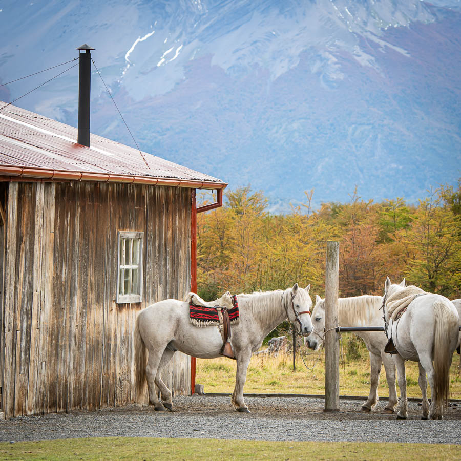 Patagonia Part 3: Estancia