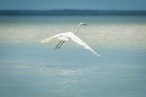 Isla Holbox