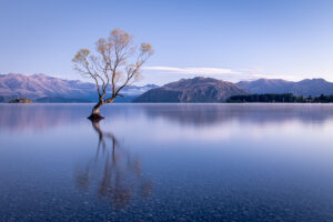 Wanaka and Mt Cook | New Zealand (Part 2)