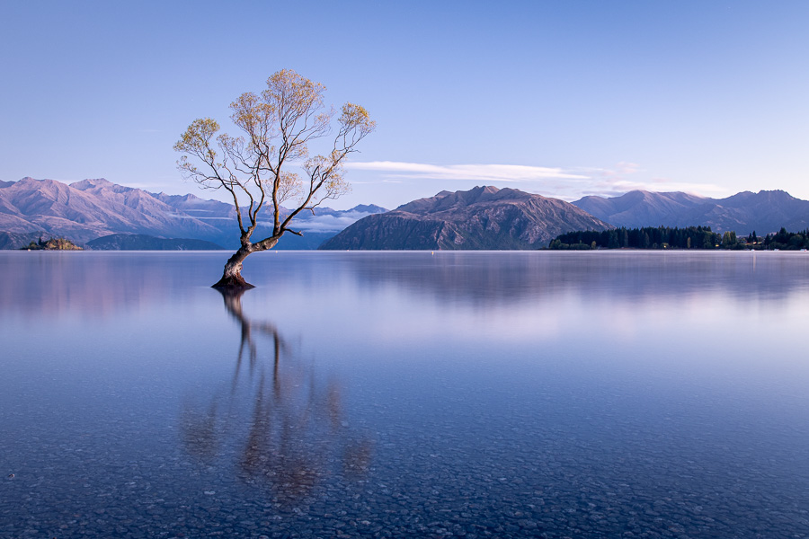 Wanaka and Mt Cook | New Zealand (Part 2)